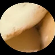 Orzechy makadamia